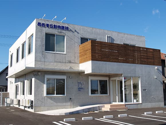 あおぞら動物医院外観