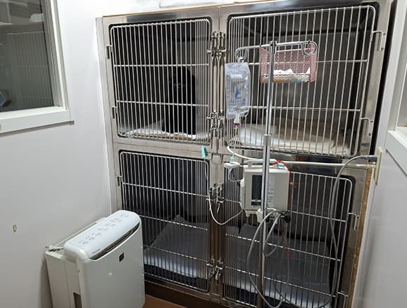 入院犬舎