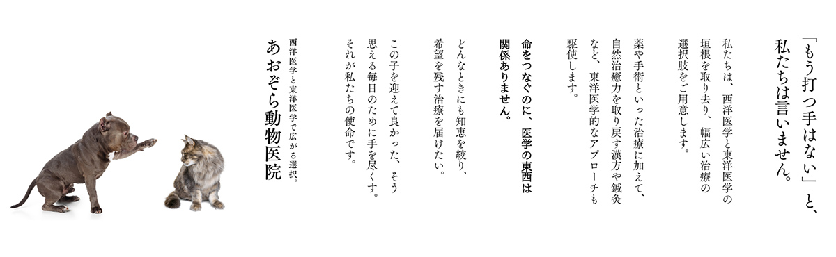 「もう打つ手はない」と、私たちは言いません。