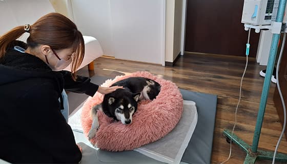 入院に関するご案内1