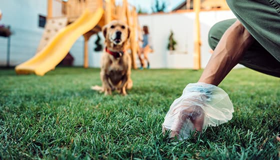 ペットとのお過ごし方のお願い