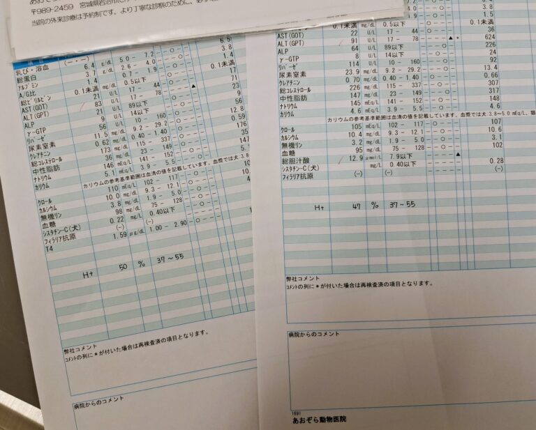 その健診、意味あります？【上】